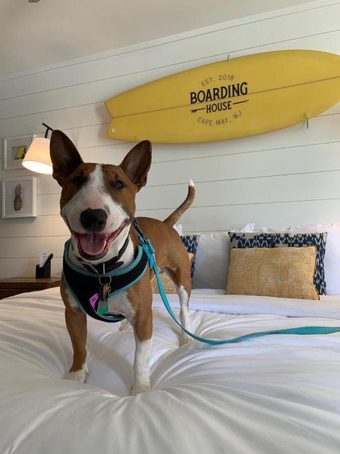 Boarding House Cape May Εξωτερικό φωτογραφία